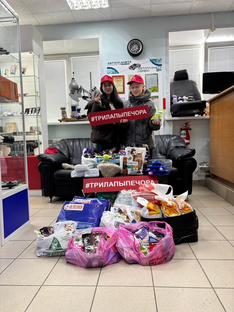 Гимназия протянула руку помощи животным!.