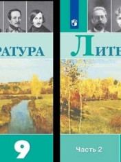 Литература. 9 класс. В 2-х частях