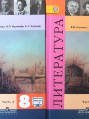 Литература. 8 класс. В 2-х частях